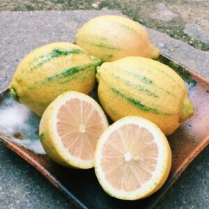 ピンクレモネード